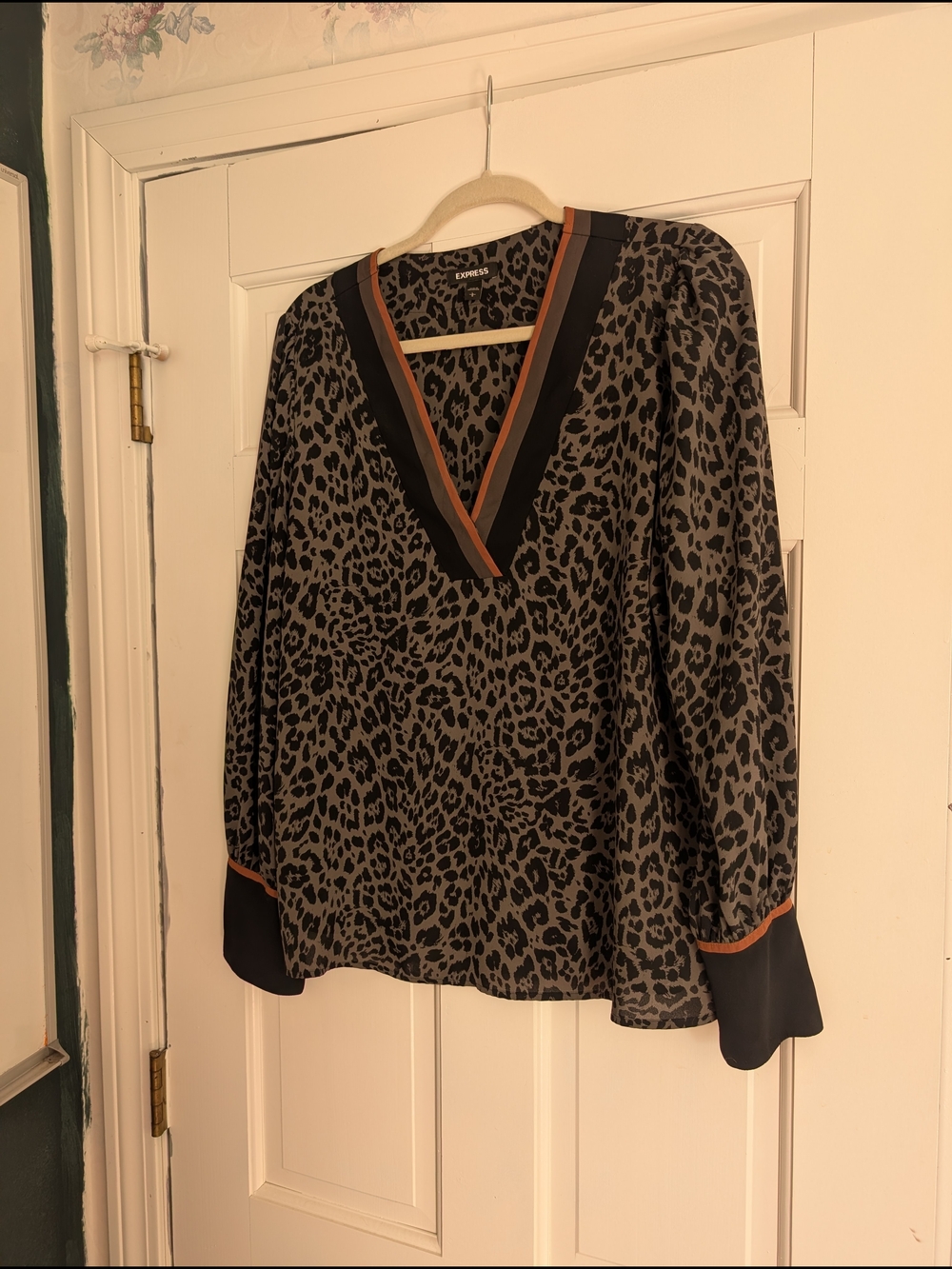 Express Leopard Print V-Neck Blouse in Taupe, Olive, Black and Rust Trim